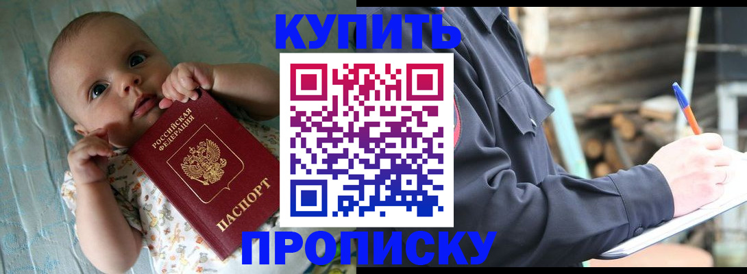 прописка поиск в Сураже